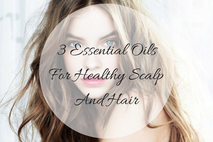 3 Essential Oils For Healthy Scalp And Hair Beauty And Blush