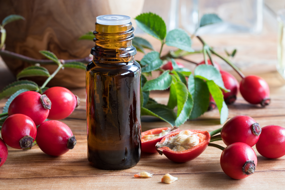 Rosehip Oil Benefits Which You Should Know About