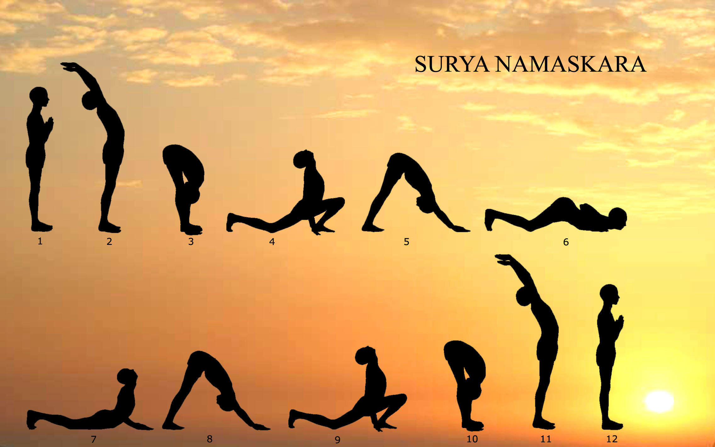 How to Do Knees, Chest, and Chin Pose (Ashtanga Namaskara) in Yoga